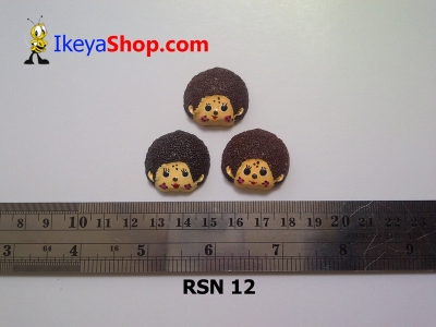 rsn 12  large2